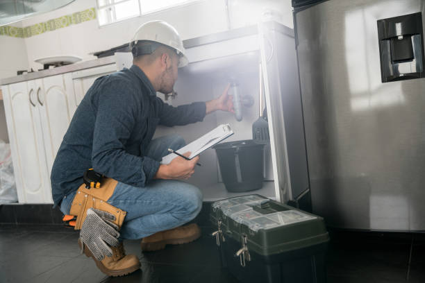 Best Affordable Plumbing Services  in Capron, IL