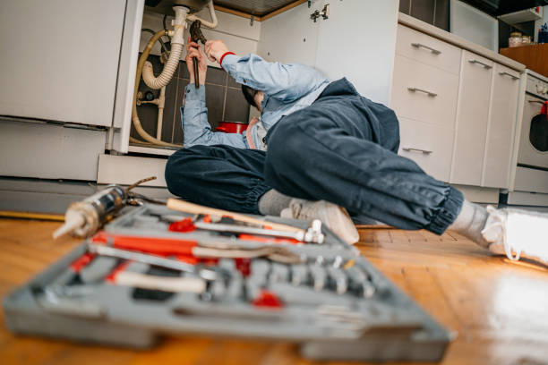 Best Local Plumber Services  in Capron, IL