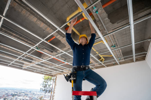 Best Best Plumbers Near Me  in Capron, IL