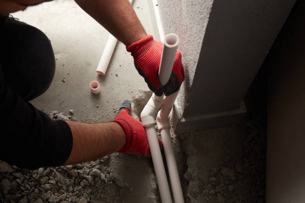 Best Leak Detection Services  in Capron, IL