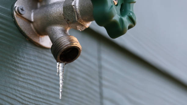Best Residential Plumbing Services  in Capron, IL
