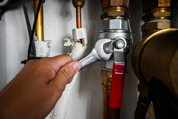 Best Leak Detection Services  in Capron, IL